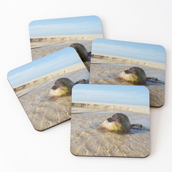 Item preview, Great beach photo or picture with a coconut designed and sold by SiRaGeckoDesign.
