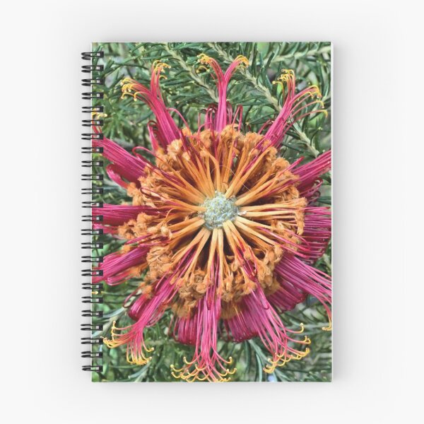 Item preview, Floral Symmetry designed and sold by KimHSinclair.