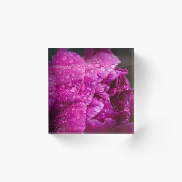 Item preview, Pretty in Pink designed and sold by Alex Tonetti Photography.