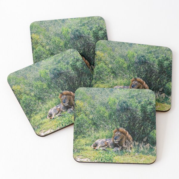 Item preview, Pride of the Pack designed and sold by Alex Tonetti Photography.