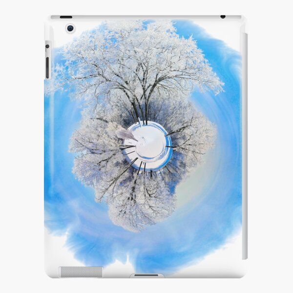 Winter World 1 iPad Snap Case