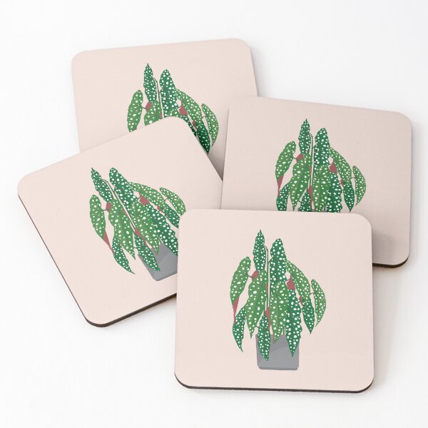 Item preview, Begonia maculata - illustration designed and sold by Martina-Ludewig.