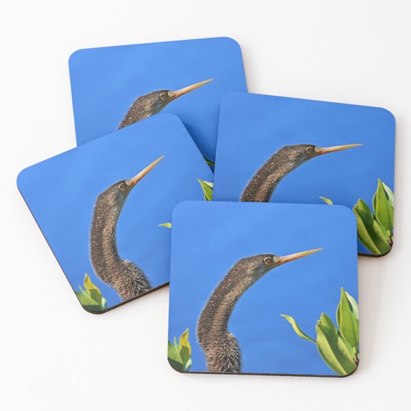 Item preview, An Anhinga Moment I designed and sold by Michiale.