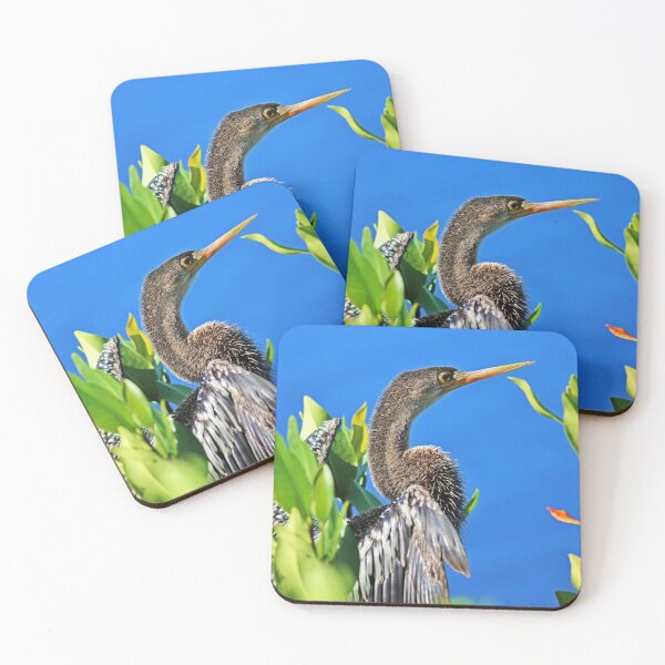 Item preview, An Anhinga Moment III designed and sold by Michiale.