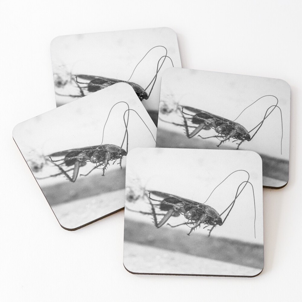 Item preview, Coasters (Set of 4) designed and sold by diskirra.