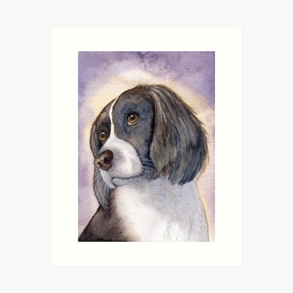 Item preview, Springer Spaniel - puzzled... designed and sold by SusanAlisonArt.