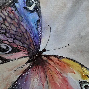 Artwork thumbnail, Abstract Butterfly by Adele Buys