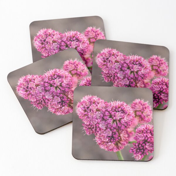 Item preview, Red Buckwheat designed and sold by Art in Nature.