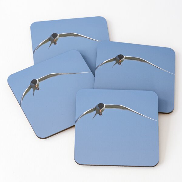 Item preview, Tern above Bolsa Chica Beach (California, USA) designed and sold by Art in Nature.