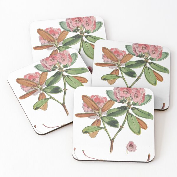 Item preview, Rhododendron aeruginosum designed and sold by Flamin' Galah.