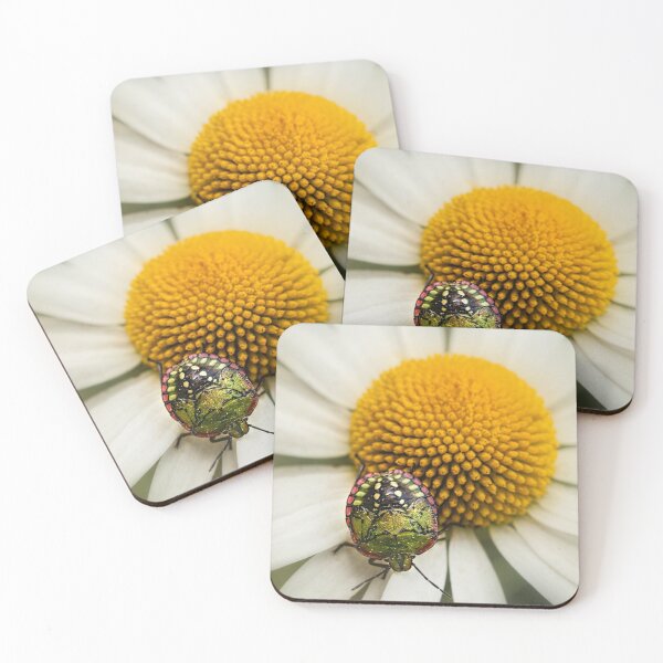 Item preview, Colorful stink bug designed and sold by Art in Nature.