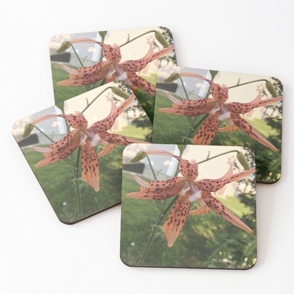 Item preview, Weird Lily  designed and sold by Amanda1775.