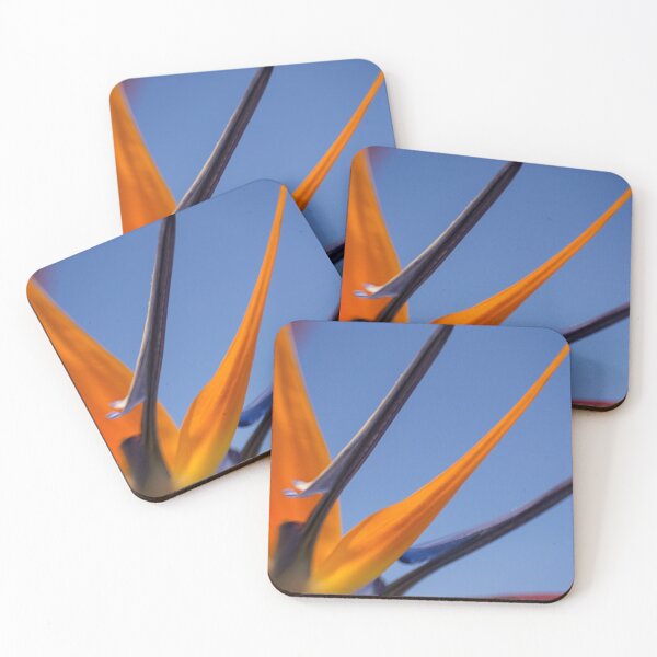 Item preview, Abstract flight designed and sold by Art in Nature.