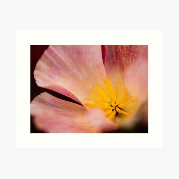 Item preview, California poppy in pink designed and sold by Art in Nature.
