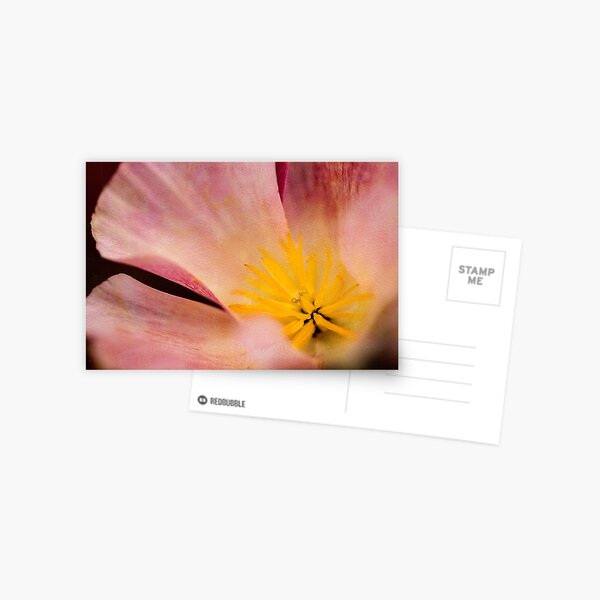 Item preview, California poppy in pink designed and sold by Art in Nature.