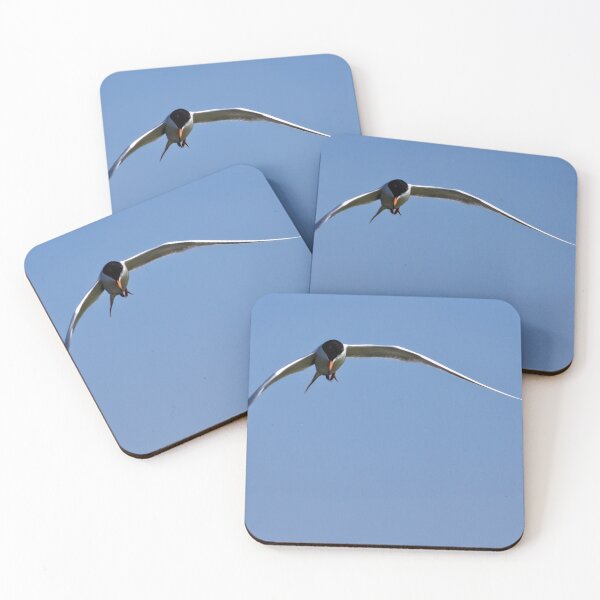 Item preview, Tern at Bolsa Chica designed and sold by Art in Nature.