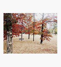 Untitled Photographic Print