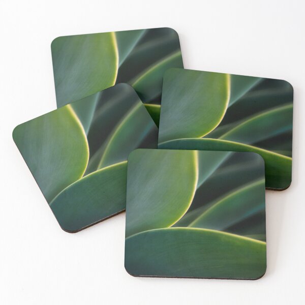 Item preview, Agave curves designed and sold by Art in Nature.