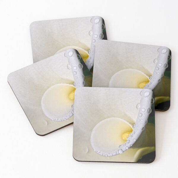 Item preview, Calla curve in the rain designed and sold by Art in Nature.