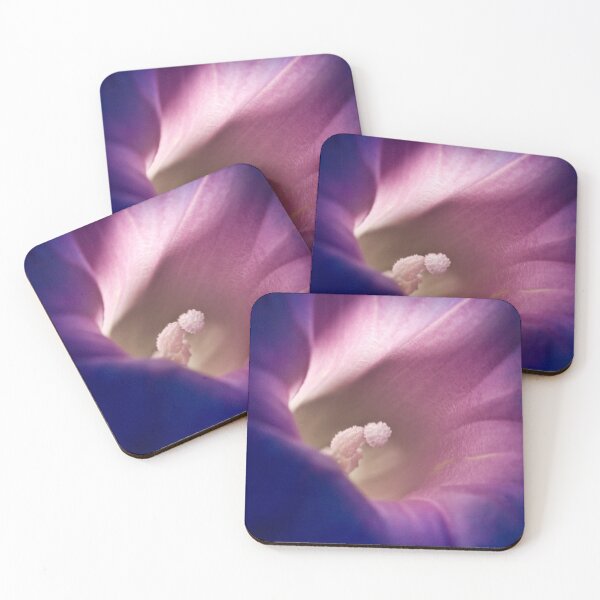 Item preview, This little light of mine for iPad designed and sold by Art in Nature.