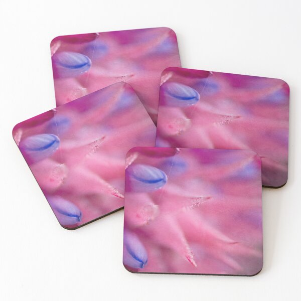 Item preview, Painted bromeliad designed and sold by Art in Nature.