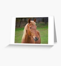 Brown Horse Grußkarte