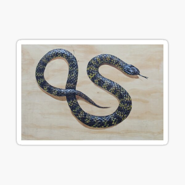 Item preview, Tiger Snake designed and sold by SnakeArtist.