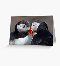 Eye to eye contact! Greeting Card