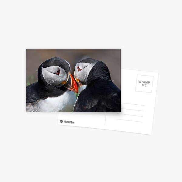 Item preview, Eye to eye contact! designed and sold by Shaun Whiteman.