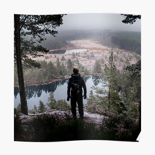 Wild Poster