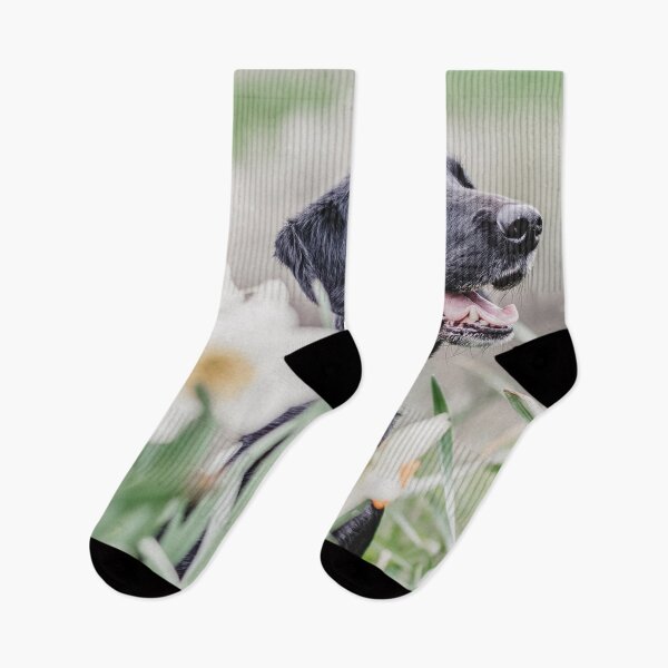 Item preview, Dog in meadow designed and sold by wolfgangrainer.