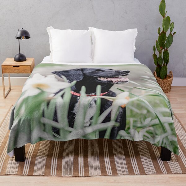 Item preview, Dog in meadow designed and sold by wolfgangrainer.