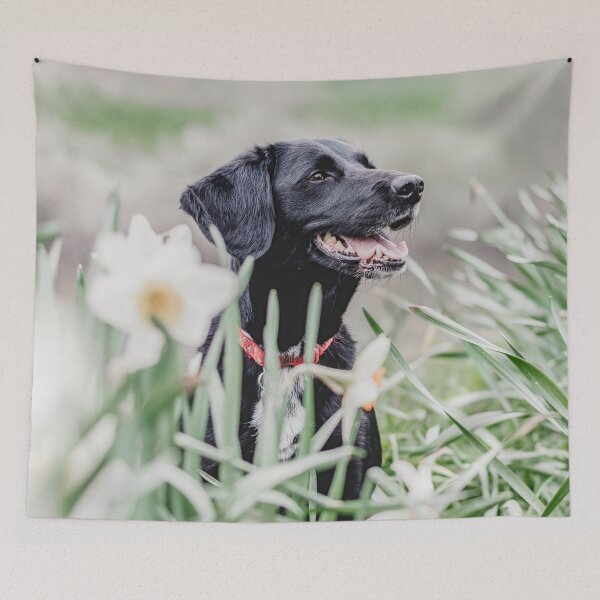 Item preview, Dog in meadow designed and sold by wolfgangrainer.