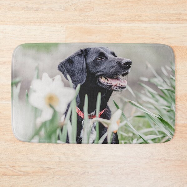 Item preview, Dog in meadow designed and sold by wolfgangrainer.
