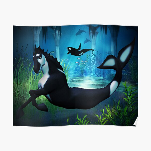 Killer Whale Sea Horse Poster
