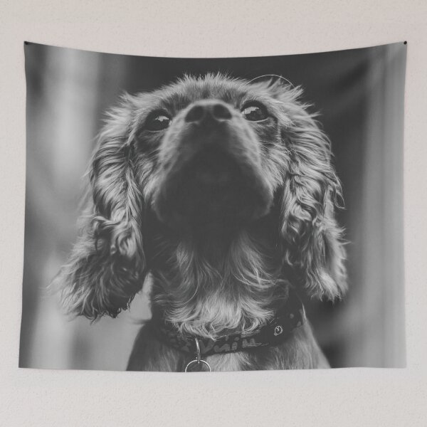 Item preview, Dog in black and white designed and sold by wolfgangrainer.