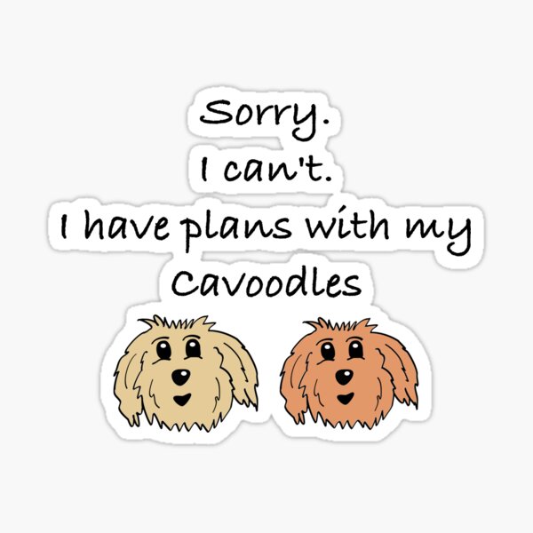 Item preview, Sorry I can't. I have plans with my cavoodles designed and sold by OodleWear.