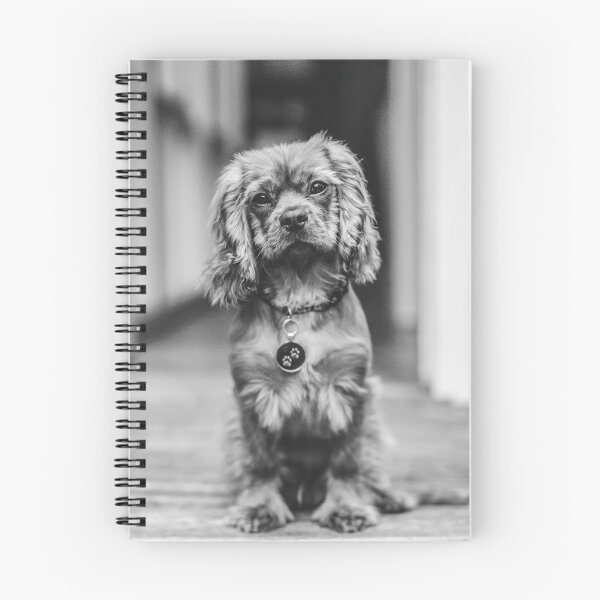 Item preview, Attentive dog designed and sold by wolfgangrainer.