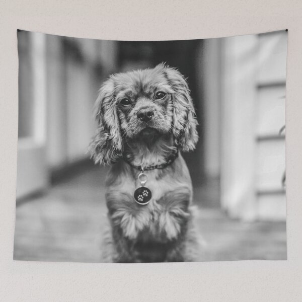 Item preview, Attentive dog designed and sold by wolfgangrainer.