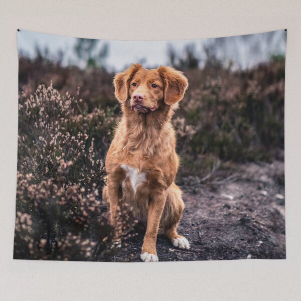 Item preview, Watchful dog designed and sold by wolfgangrainer.