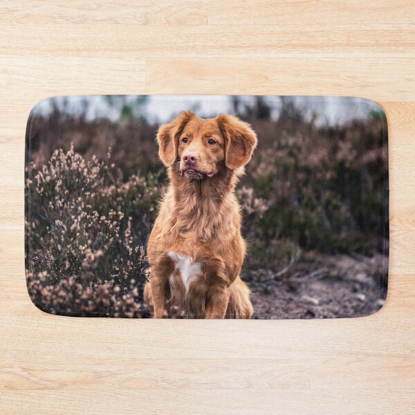 Item preview, Watchful dog designed and sold by wolfgangrainer.