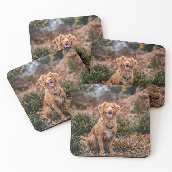 Item preview, Joyful dog designed and sold by wolfgangrainer.