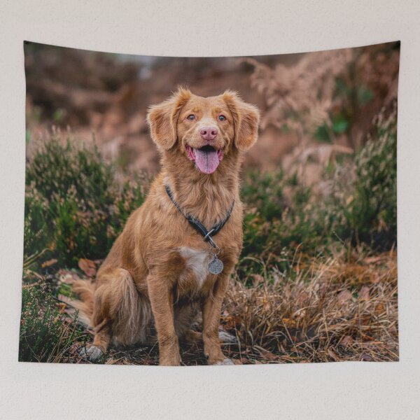 Item preview, Joyful dog designed and sold by wolfgangrainer.