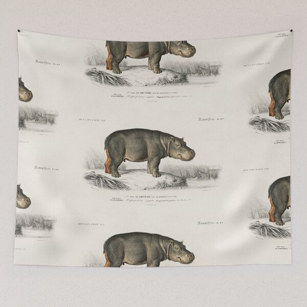 Aperçu de l'œuvre Hippopotamus vintage illustration créée et vendue par Vintage Designs +.