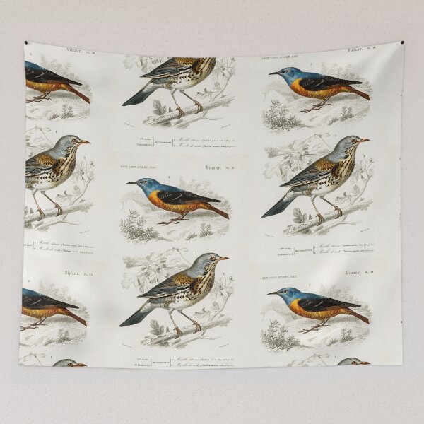 Artikelvorschau, Pretty birds vintage illustration entworfen und verkauft von Vintage Designs +.