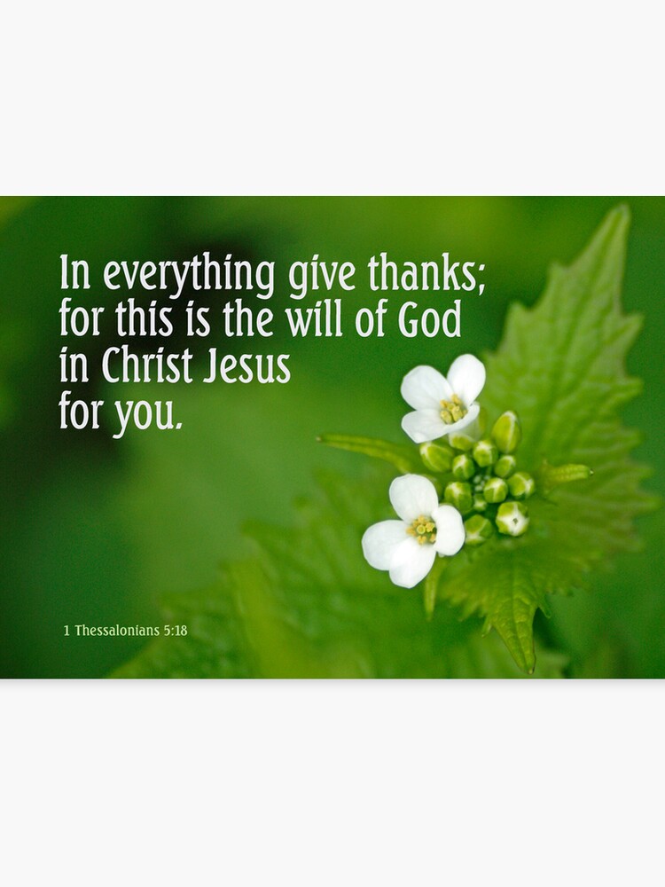 In Everything Give Thanks 1 Thessalonians 518 3 Of 3 Canvas Print