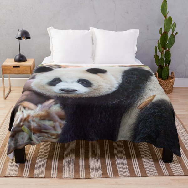 Item preview, Great Panda Stare designed and sold by LukeDavidPhoto.