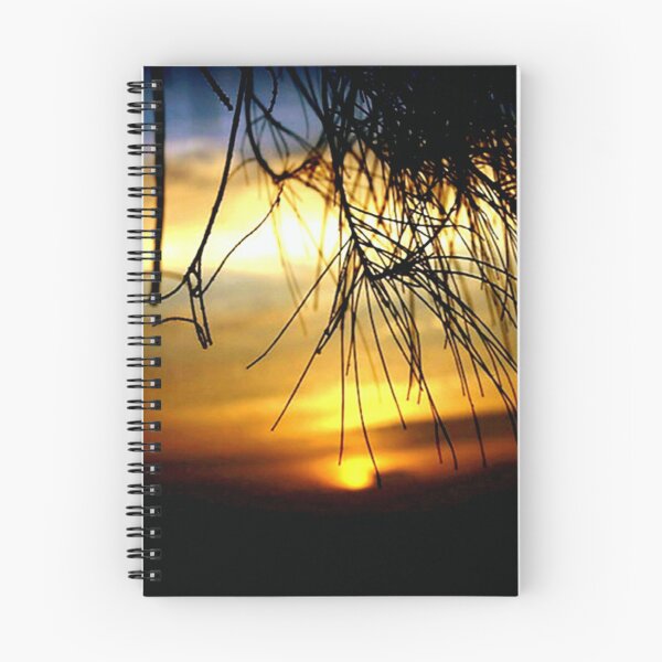 Item preview, Sunrise between Pine Needles  designed and sold by cjcphotography.