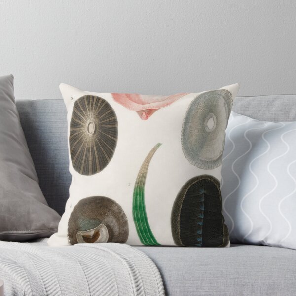 Artikelvorschau, Limpets vintage illustration  entworfen und verkauft von Vintage Designs +.