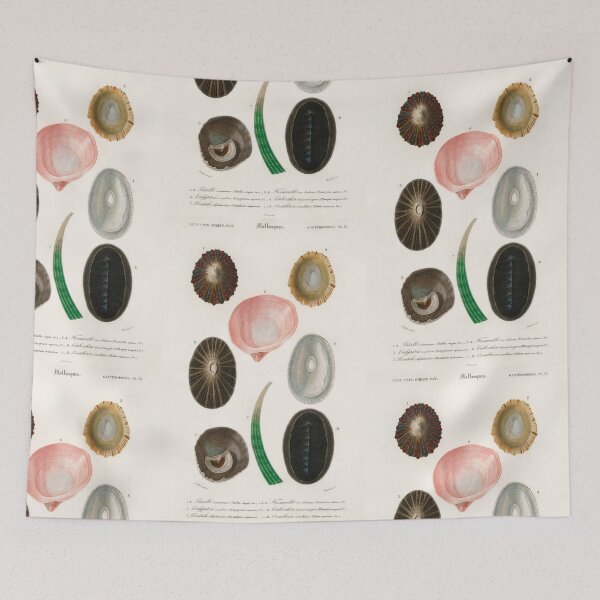 Item preview, Limpets vintage illustration designed and sold by Vintage Designs +.